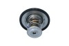 NRF 725180 EASY FIT termostat,lichid racire
