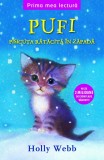 Pufi, pisicuța rătăcită &icirc;n zăpadă. Prima mea lectură