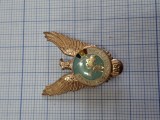 insigna Primul cosmonaut roman