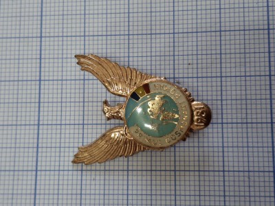 insigna Primul cosmonaut roman foto