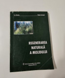 Silvicultura Ion Barbu Regenerarea naturala a molidului