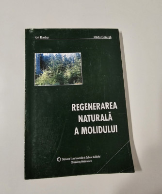 Silvicultura Ion Barbu Regenerarea naturala a molidului foto