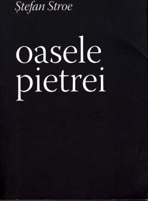 AS - STEFAN STROE - OASELE PIETREI foto