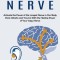 Vagus Nerve: Activate the Power of the Longest Nerve in Our Body (Panic Attacks and Trauma With the Healing Power of Your Vagus Ner