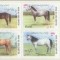 IRAN 2002 FAUNA ANIMALE DOMESTICE