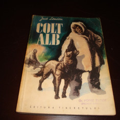 Jack London - Colt alb - 1955