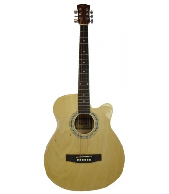 Chitara acustica Flame DG 210 C- S foto