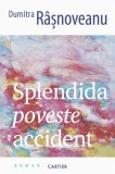 Roman Splendida poveste accident Dumitra Rasnoveanu coperta paperback brosata beletristica cartier