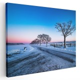 Tablou peisaj iarna copaci drum Tablou canvas pe panza CU RAMA 50x70 cm