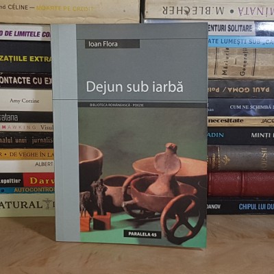 IOAN FLORA - DEJUN SUB IARBA ( POEZII ) , 2004 * foto