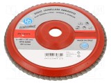 Disc de şlefuit cu lambouri PG PROFESSIONAL 180mm 22mm granulație 120 pentru lemn și metal