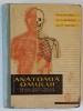 ANATOMIA OMULUI - MANUAL PENTRU SCOLILE DE ASISTENTE MEDICALE , EDITIA I - A de V. RANGA ... F. ALEXE, 1961 *PREZINTA URME DE UZURA SI SUBLINIERI IN T