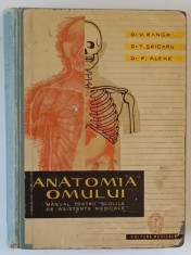 ANATOMIA OMULUI - MANUAL PENTRU SCOLILE DE ASISTENTE MEDICALE , EDITIA I - A de V. RANGA ... F. ALEXE, 1961 *PREZINTA URME DE UZURA SI SUBLINIERI IN T