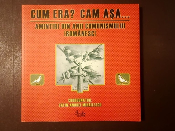 Călin Andrei Mihăilescu (coord.) - Cum era? Cam așa... Amintiri din anii comunismului (rom&acirc;nesc)