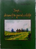 Iasi: Drumet in jurul Cetatii - Vasile Iluca, Helios 2002, Istorie Iasi, Ghid Turistic, 80 pagini