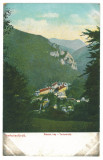 5479 - Baile HERCULANE, Caras-Severin, Romania - old postcard - unused, Necirculata, Printata
