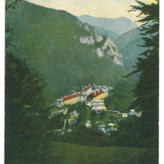 5479 - Baile HERCULANE, Caras-Severin, Romania - old postcard - unused