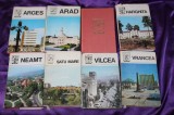 Cumpara ieftin Lot 9 carti seria Judetele Patriei judetul Arad Arges Dolj Gorj Harghita Neamt Valcea Vrancea Satu Mare monografii monogrfia judetului