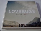 Lovebugs - , qaz