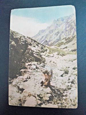 Carte postala, Bucegi, drum spre varful Omul, R.P.R., necirculata foto