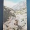 Carte postala, Bucegi, drum spre varful Omul, R.P.R., necirculata