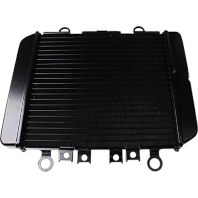 Radiator Kawasaki ER5 ER500 1996-2006 ER 500 foto