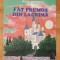 Fat Frumos din lacrima de Mihail Eminescu. Ilustratii de Dorin Damaschin