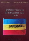 Steaguri tricolore din timpul Marii Uniri (1918) - Augustin Muresan, Laurentiu-Stefan Szemkovics