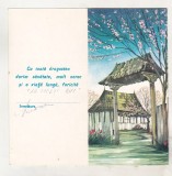 Bnk cp Telegrama Lux - lot 7 telegrame uzate, Ambele, Printata, Romania de la 1950