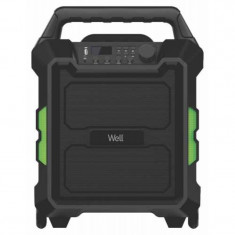 Boxa portabila Well, 350 W, 4500 mAh, Bluetooth, 372 x 230 x 475 mm, accesorii incluse, Negru