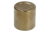 Pistoane pentru etrier Spate (diametru interior: 25,6mm/diametru exterior: 30,1mm/inaltime: 31mm, fara sigilii) pentru KAWASAKI KDX, KLX, KX; SUZUKI R