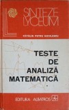 TESTE DE ANALIZA MATEMATICA-CATALIN PETRU NICOLESCU-353636