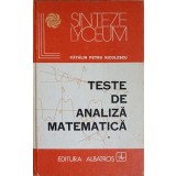 TESTE DE ANALIZA MATEMATICA-CATALIN PETRU NICOLESCU-353636