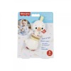 FISHER PRICE JUCARIE ZORNAITOARE GASCA, Mattel