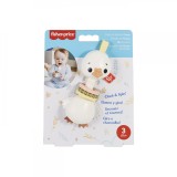 FISHER PRICE JUCARIE ZORNAITOARE GASCA, Mattel