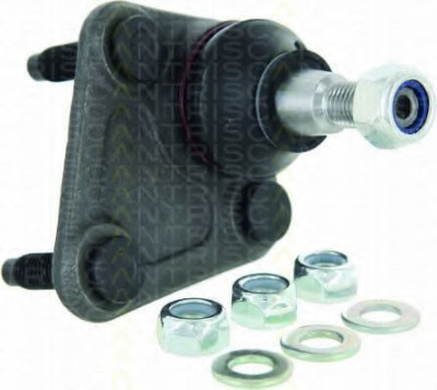 Pivot AUDI A3 (8L1) (1996 - 2003) TRISCAN 8500 295010 foto