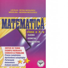 Matematica, Clasa a X-a - Algebra. Geometrie. Trigonometrie. Sinteze de teorie. Exercitii si probleme