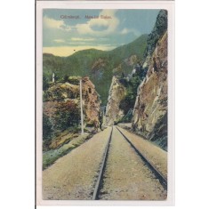 Carte postala circulata in anul 1911 Calimanesti