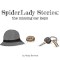 SpiderLady Stories: the Missing Car Keys