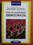 Larry Diamond - Cum se consolideaza democratia