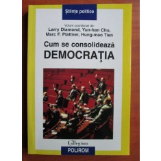 Larry Diamond - Cum se consolideaza democratia