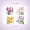 Romania 2022 - LP 2359a nestampilat - Flori: Branduse - bloc, Flora