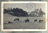 AD 61 C. P. VECHE -DAUN -GERMANIA - CIRCULATA 1913-ARE USOARE URME DE HASURARE, Franta, Printata