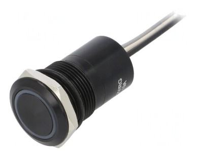 Comutator Capacitiv IP68 2 Pozitii 12V foto