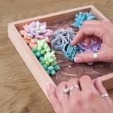 Set creativ - Wood&amp;Craft DIY Succulents - Tenderness | Okto Clay