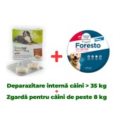 Deparazitare internă c&acirc;ini mari, Drontal XL c&acirc;ini 35kg cutie x 2 tablete + Zgardă purici, căpușe Foresto c&acirc;ini mai mari de 8 KG