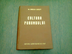 Cultura Porumbului - Gh.Ionescu-Sisesti foto