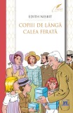 Cumpara ieftin Copiii de langa calea ferata