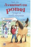 Aventuri cu ponei. Volumul 3: Fulger si marea competitie - Usch Luhn