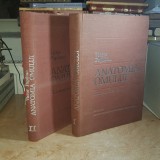 VICTOR PAPILIAN - ANATOMIA OMULUI * 2 VOL. : APARATUL LOCOMOTOR + SPLANHNOLOGIA , ED.V-A , ADAUGITA DE I. ALBU , 1979 *